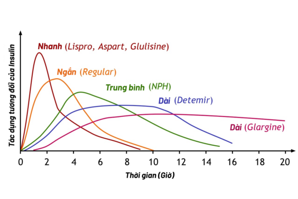 Phân loại insulin theo thời gian tác dụng 