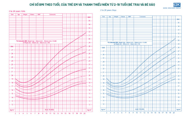 Chỉ số BMI theo tuổi, của trẻ em và thanh thiếu niên từ 2-19 tuổi (bé trai và bé gái)