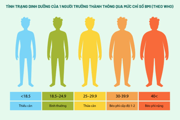 Tình trạng dinh dưỡng của 1 người trưởng thành thông qua mức chỉ số BMI (theo WHO)