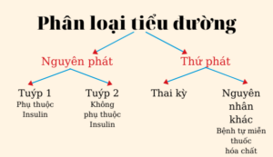 phân loại bệnh đái tháo đường/tiểu đường