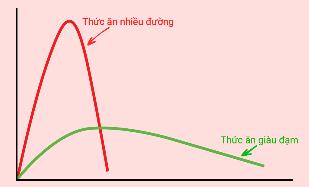tác động của protein tới đường huyết
