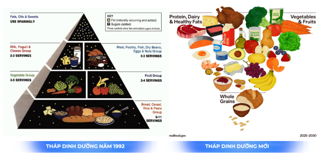 tháp dinh dưỡng mới 2026